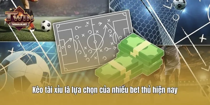 Kèo tài xỉu là lựa chọn của nhiều bet thủ hiện nay